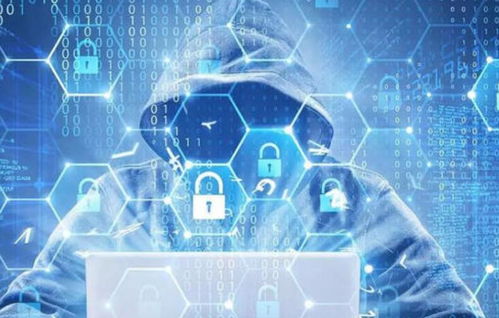 石家庄软件开发行业的现状与未来发展趋势